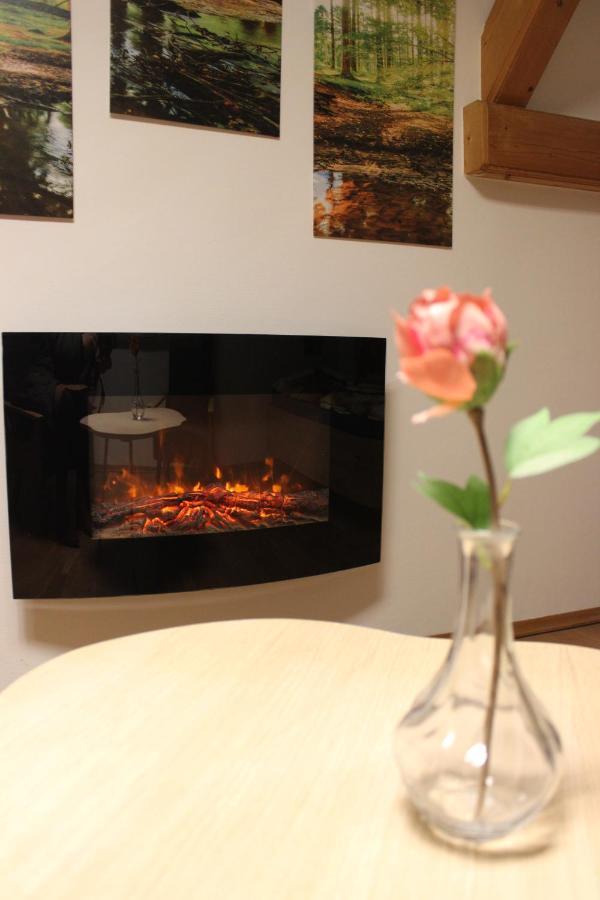 Homew4 - Apartment Sonnenschein Hoheneich Dış mekan fotoğraf
